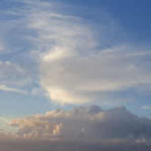 Meet your Posher, Daylin